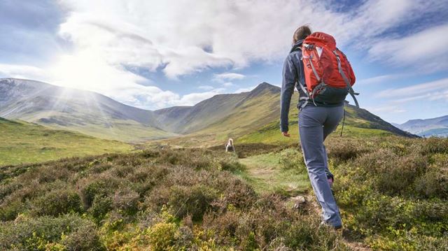 The Boundless guide to walking woman walking in mountain with her dog